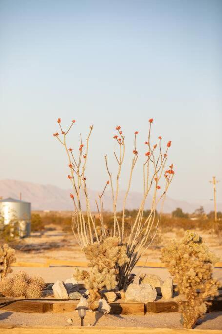 Sun Runner - Serene Desert Home W/Pool & Hot Tub トウェンティナイン・パームズ エクステリア 写真